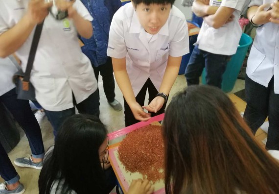  ภาพกิจกรรม โปรแกรมวิชาวิทยาศาสตร์และเทคโนโลยีการอาหาร จัดกิจกรรมศึกษาดูงาน