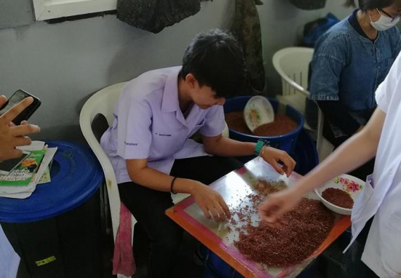  ภาพกิจกรรม โปรแกรมวิชาวิทยาศาสตร์และเทคโนโลยีการอาหาร จัดกิจกรรมศึกษาดูงาน