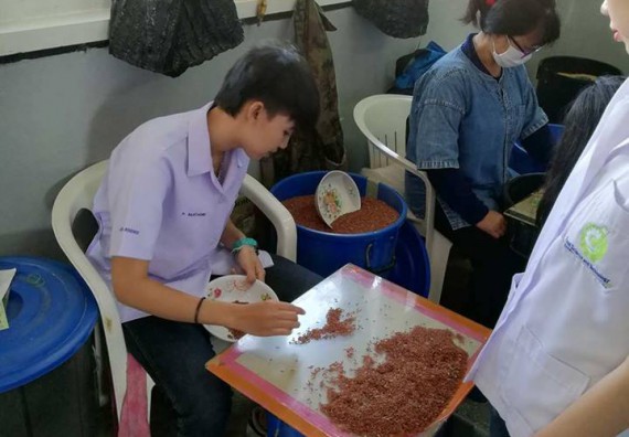  ภาพกิจกรรม โปรแกรมวิชาวิทยาศาสตร์และเทคโนโลยีการอาหาร จัดกิจกรรมศึกษาดูงาน