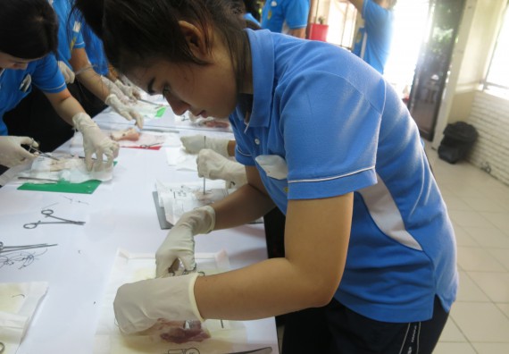 ภาพกิจกรรม โปรแกรมวิชาสาธารณสุขศาสตร์  อบรมการเย็บแผล ตัดไหม