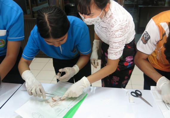 ภาพกิจกรรม โปรแกรมวิชาสาธารณสุขศาสตร์  อบรมการเย็บแผล ตัดไหม