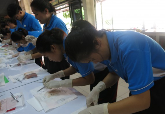 ภาพกิจกรรม โปรแกรมวิชาสาธารณสุขศาสตร์  อบรมการเย็บแผล ตัดไหม