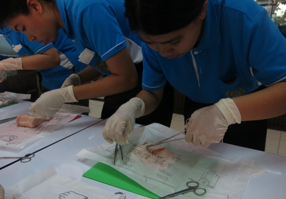 ภาพกิจกรรม โปรแกรมวิชาสาธารณสุขศาสตร์  อบรมการเย็บแผล ตัดไหม