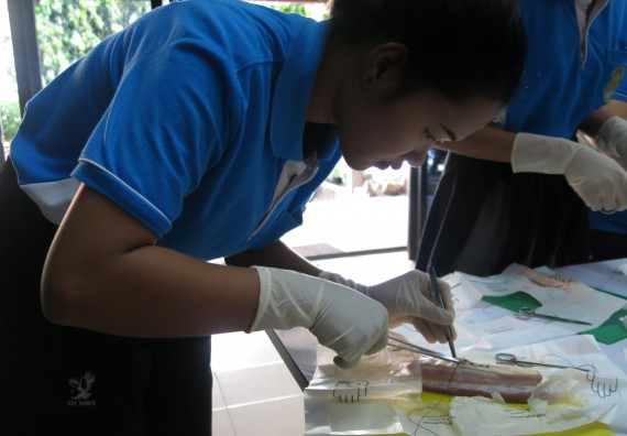 ภาพกิจกรรม โปรแกรมวิชาสาธารณสุขศาสตร์  อบรมการเย็บแผล ตัดไหม