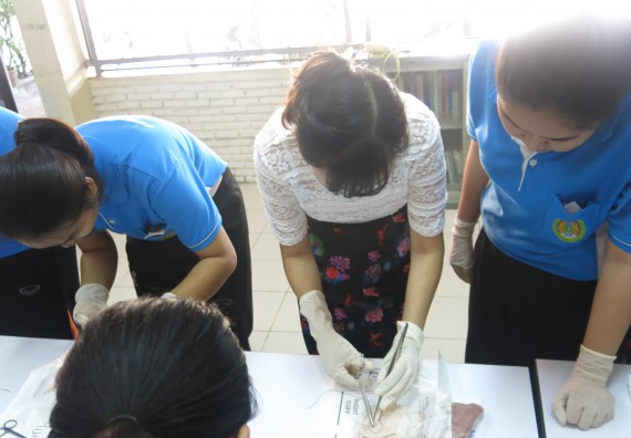 ภาพกิจกรรม โปรแกรมวิชาสาธารณสุขศาสตร์  อบรมการเย็บแผล ตัดไหม