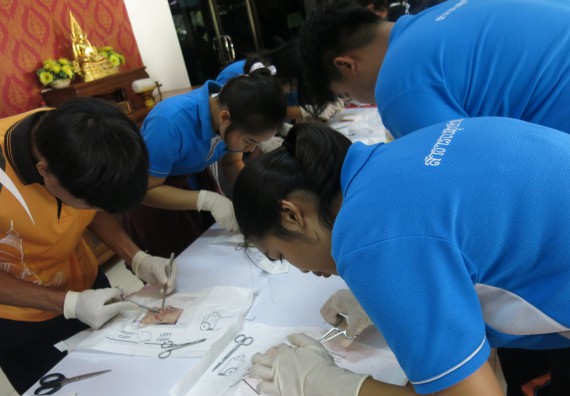 ภาพกิจกรรม โปรแกรมวิชาสาธารณสุขศาสตร์  อบรมการเย็บแผล ตัดไหม
