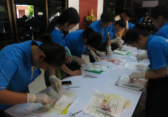 ภาพกิจกรรม โปรแกรมวิชาสาธารณสุขศาสตร์  อบรมการเย็บแผล ตัดไหม
