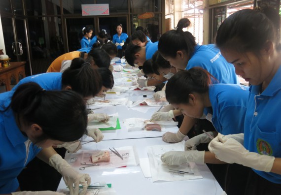 ภาพกิจกรรม โปรแกรมวิชาสาธารณสุขศาสตร์  อบรมการเย็บแผล ตัดไหม