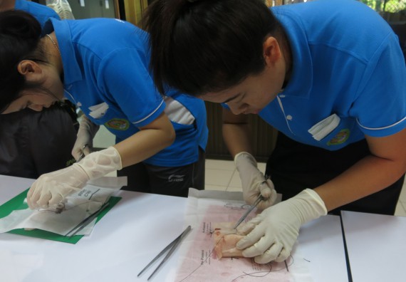 ภาพกิจกรรม โปรแกรมวิชาสาธารณสุขศาสตร์  อบรมการเย็บแผล ตัดไหม