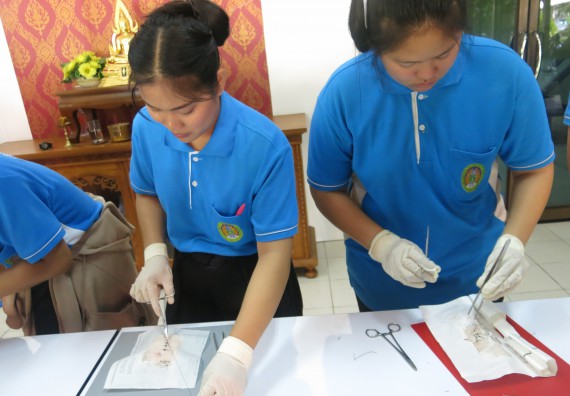 ภาพกิจกรรม โปรแกรมวิชาสาธารณสุขศาสตร์  อบรมการเย็บแผล ตัดไหม