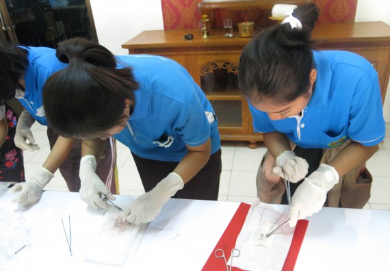 ภาพกิจกรรม โปรแกรมวิชาสาธารณสุขศาสตร์  อบรมการเย็บแผล ตัดไหม