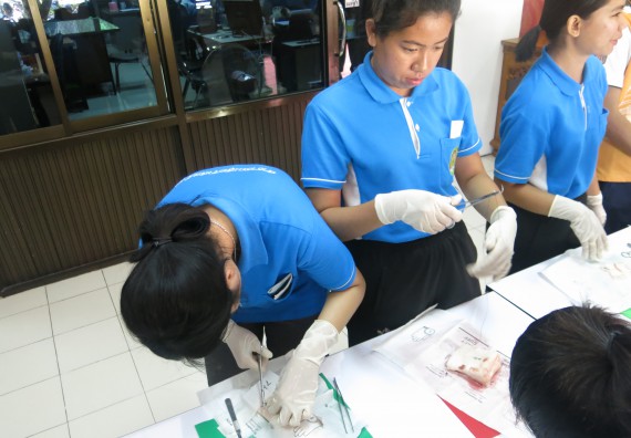 ภาพกิจกรรม โปรแกรมวิชาสาธารณสุขศาสตร์  อบรมการเย็บแผล ตัดไหม