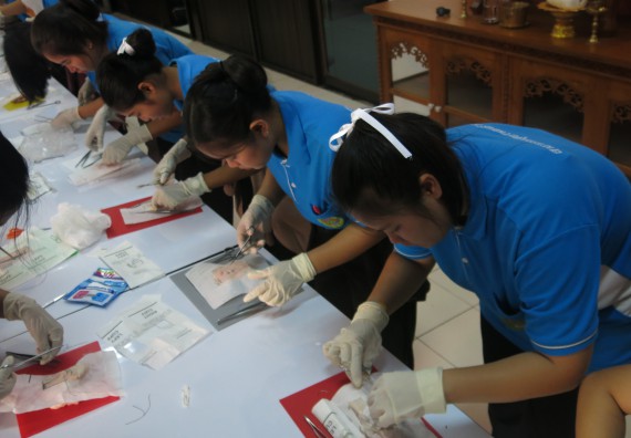 ภาพกิจกรรม โปรแกรมวิชาสาธารณสุขศาสตร์  อบรมการเย็บแผล ตัดไหม