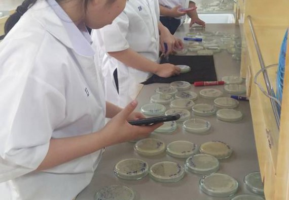 ภาพกิจกรรม โปรแกรมวิชาชีววิทยา จัดการอบรมเชิงปฏิบัติการ เรื่องการเพาะเลี้ยงเนื้อกล้วยไข่