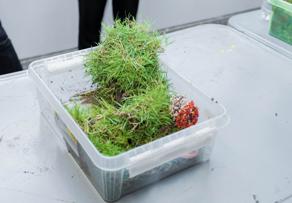 ภาพกิจกรรม คณะวิทยาศาสตร์และเทคโนโลยี จัดโครงการอบรมเชิงปฏิบัติการวิทยากรสำหรับสะเต็มศึกษา (STEM Education)