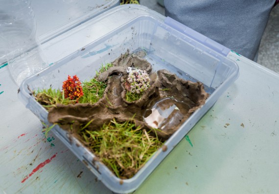 ภาพกิจกรรม คณะวิทยาศาสตร์และเทคโนโลยี จัดโครงการอบรมเชิงปฏิบัติการวิทยากรสำหรับสะเต็มศึกษา (STEM Education)