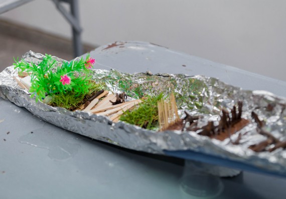 ภาพกิจกรรม คณะวิทยาศาสตร์และเทคโนโลยี จัดโครงการอบรมเชิงปฏิบัติการวิทยากรสำหรับสะเต็มศึกษา (STEM Education)