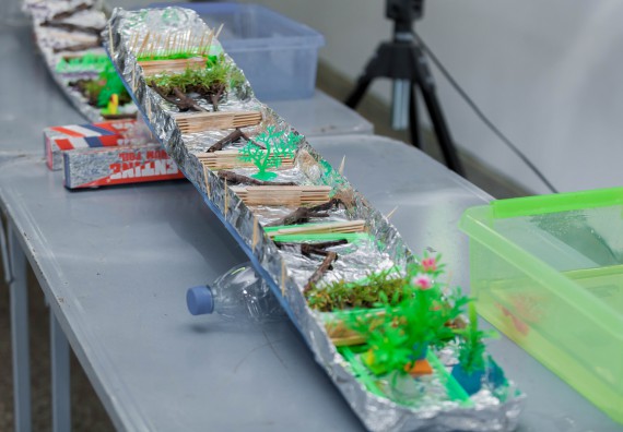 ภาพกิจกรรม คณะวิทยาศาสตร์และเทคโนโลยี จัดโครงการอบรมเชิงปฏิบัติการวิทยากรสำหรับสะเต็มศึกษา (STEM Education)