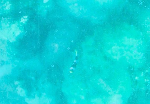 ภาพกิจกรรม โปรแกรมวิชาชิวทยาศาสตร์สิ่งแวดล้อม จัดโครงการสัมมนาและศึกษาแหล่งเรียนรู้ทางสิ่งแวดล้อม