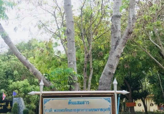 ภาพกิจกรรม โปรแกรมวิชาชิวทยาศาสตร์สิ่งแวดล้อม จัดโครงการสัมมนาและศึกษาแหล่งเรียนรู้ทางสิ่งแวดล้อม