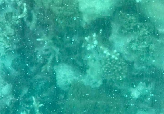 ภาพกิจกรรม โปรแกรมวิชาชิวทยาศาสตร์สิ่งแวดล้อม จัดโครงการสัมมนาและศึกษาแหล่งเรียนรู้ทางสิ่งแวดล้อม