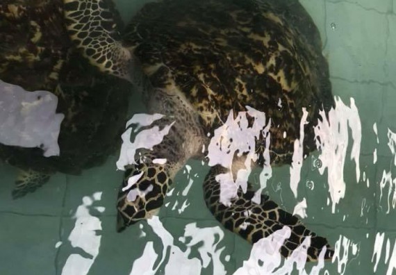 ภาพกิจกรรม โปรแกรมวิชาชิวทยาศาสตร์สิ่งแวดล้อม จัดโครงการสัมมนาและศึกษาแหล่งเรียนรู้ทางสิ่งแวดล้อม