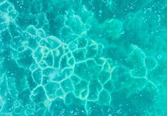 ภาพกิจกรรม โปรแกรมวิชาชิวทยาศาสตร์สิ่งแวดล้อม จัดโครงการสัมมนาและศึกษาแหล่งเรียนรู้ทางสิ่งแวดล้อม