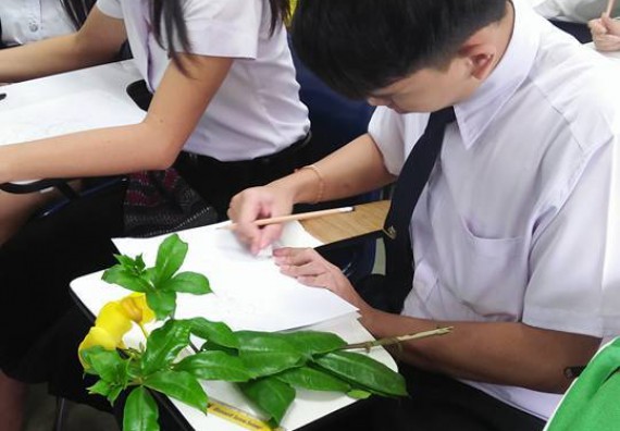 ภาพกิจกรรม โปรแกรมวิชาชีววิทยา จัดกิจกรรมการอบรมอนุกรมวิทยา