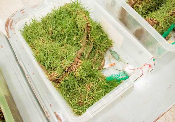 ภาพกิจกรรม คณะวิทยาศาสตร์และเทคโนโลยี จัดอบรมโครงงานวิทยาศาสตร์