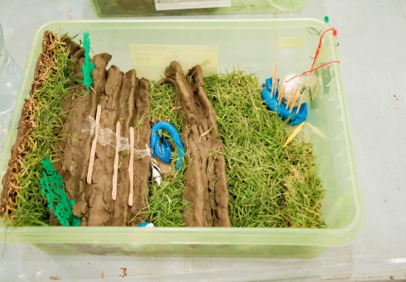 ภาพกิจกรรม คณะวิทยาศาสตร์และเทคโนโลยี จัดอบรมโครงงานวิทยาศาสตร์