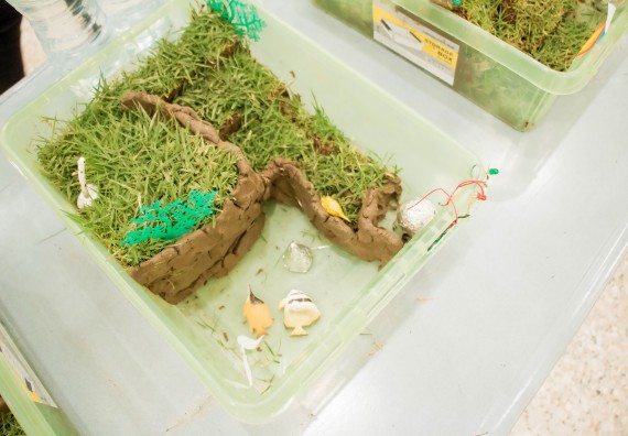 ภาพกิจกรรม คณะวิทยาศาสตร์และเทคโนโลยี จัดอบรมโครงงานวิทยาศาสตร์