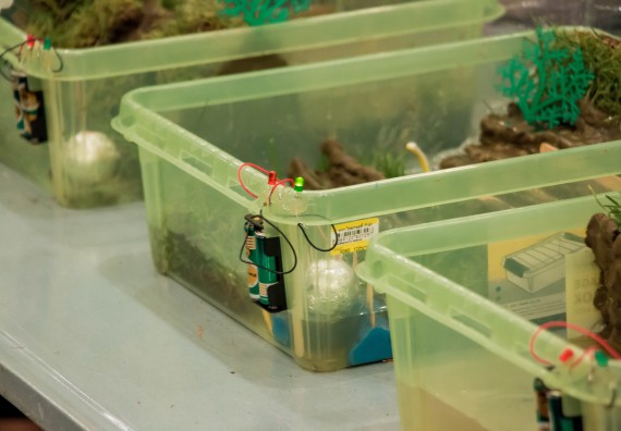 ภาพกิจกรรม คณะวิทยาศาสตร์และเทคโนโลยี จัดอบรมโครงงานวิทยาศาสตร์