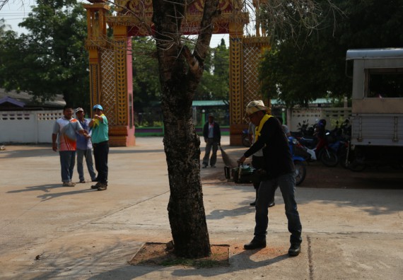 ภาพกิจกรรม คณะวิทยาศาสตร์และเทคโนโลยี เข้าร่วมกิจกรรมวันจิตอาสามหาวิทยาลัยไทย