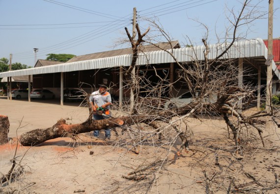 ภาพกิจกรรม คณะวิทยาศาสตร์และเทคโนโลยี เข้าร่วมกิจกรรมวันจิตอาสามหาวิทยาลัยไทย
