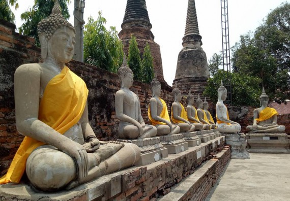 ภาพกิจกรรม โปรแกรมวิชาชีววิทยา จัดกิจกรรมสานสัมพันธ์น้องพี่ชีววิทยาและการศึกษาความหลากหลายทางชีวภาพนอกสถานที่