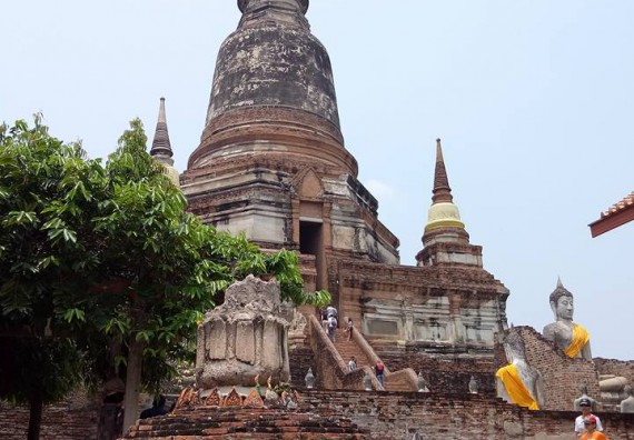 ภาพกิจกรรม โปรแกรมวิชาชีววิทยา จัดกิจกรรมสานสัมพันธ์น้องพี่ชีววิทยาและการศึกษาความหลากหลายทางชีวภาพนอกสถานที่