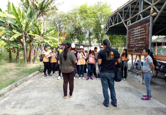 ภาพกิจกรรม โปรแกรมวิชาชีววิทยา จัดกิจกรรมเรียนรู้การอนุรักษ์สายพันธุ์กล้วยไข่กำแพงเพชร โดยการเก็บในสภาพ ปลอดเชื้อ เพื่อการใช้ประโยชน์อย่างยั่งยืน