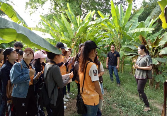 ภาพกิจกรรม โปรแกรมวิชาชีววิทยา จัดกิจกรรมเรียนรู้การอนุรักษ์สายพันธุ์กล้วยไข่กำแพงเพชร โดยการเก็บในสภาพ ปลอดเชื้อ เพื่อการใช้ประโยชน์อย่างยั่งยืน
