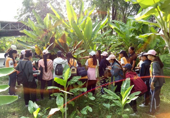 ภาพกิจกรรม โปรแกรมวิชาชีววิทยา จัดกิจกรรมเรียนรู้การอนุรักษ์สายพันธุ์กล้วยไข่กำแพงเพชร โดยการเก็บในสภาพ ปลอดเชื้อ เพื่อการใช้ประโยชน์อย่างยั่งยืน