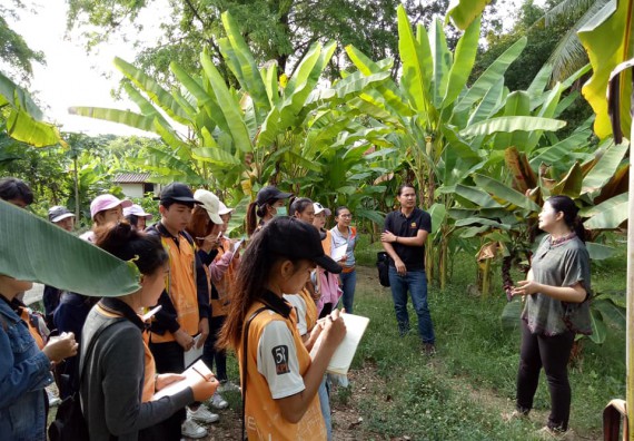 ภาพกิจกรรม โปรแกรมวิชาชีววิทยา จัดกิจกรรมเรียนรู้การอนุรักษ์สายพันธุ์กล้วยไข่กำแพงเพชร โดยการเก็บในสภาพ ปลอดเชื้อ เพื่อการใช้ประโยชน์อย่างยั่งยืน