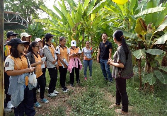 ภาพกิจกรรม โปรแกรมวิชาชีววิทยา จัดกิจกรรมเรียนรู้การอนุรักษ์สายพันธุ์กล้วยไข่กำแพงเพชร โดยการเก็บในสภาพ ปลอดเชื้อ เพื่อการใช้ประโยชน์อย่างยั่งยืน