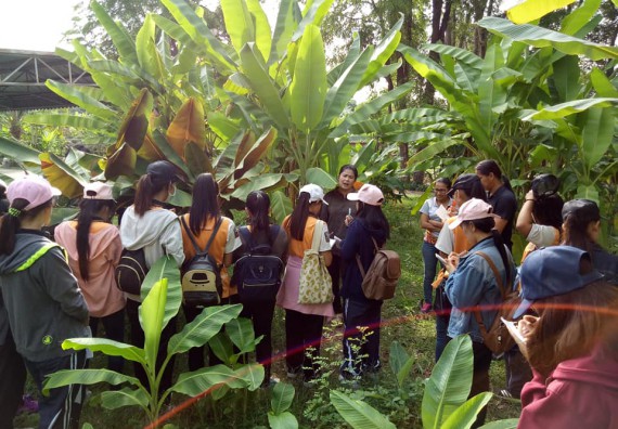 ภาพกิจกรรม โปรแกรมวิชาชีววิทยา จัดกิจกรรมเรียนรู้การอนุรักษ์สายพันธุ์กล้วยไข่กำแพงเพชร โดยการเก็บในสภาพ ปลอดเชื้อ เพื่อการใช้ประโยชน์อย่างยั่งยืน