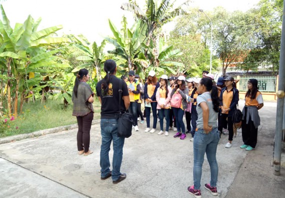 ภาพกิจกรรม โปรแกรมวิชาชีววิทยา จัดกิจกรรมเรียนรู้การอนุรักษ์สายพันธุ์กล้วยไข่กำแพงเพชร โดยการเก็บในสภาพ ปลอดเชื้อ เพื่อการใช้ประโยชน์อย่างยั่งยืน