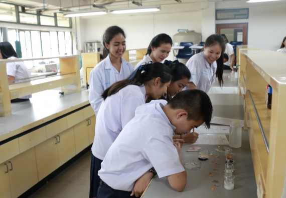 ภาพกิจกรรม การแข่งขันทักษะทางวิทยาศาสตร์และเทคโนโลยี มัธยมศึกษาปีที่ 1-3 ประจำปี 2561