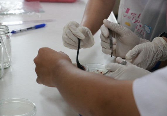 ภาพกิจกรรม การแข่งขันทักษะทางวิทยาศาสตร์และเทคโนโลยี มัธยมศึกษาปีที่ 4-6 ประจำปี 2561