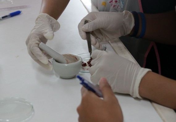 ภาพกิจกรรม การแข่งขันทักษะทางวิทยาศาสตร์และเทคโนโลยี มัธยมศึกษาปีที่ 4-6 ประจำปี 2561