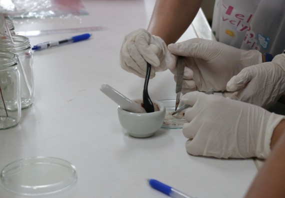 ภาพกิจกรรม การแข่งขันทักษะทางวิทยาศาสตร์และเทคโนโลยี มัธยมศึกษาปีที่ 4-6 ประจำปี 2561