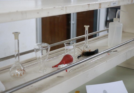 ภาพกิจกรรม การแข่งขันทักษะทางวิทยาศาสตร์และเทคโนโลยี มัธยมศึกษาปีที่ 4-6 ประจำปี 2561