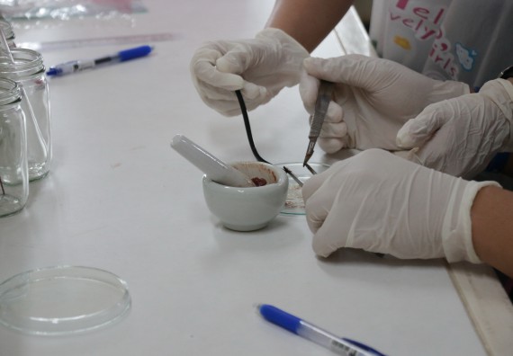 ภาพกิจกรรม การแข่งขันทักษะทางวิทยาศาสตร์และเทคโนโลยี มัธยมศึกษาปีที่ 4-6 ประจำปี 2561