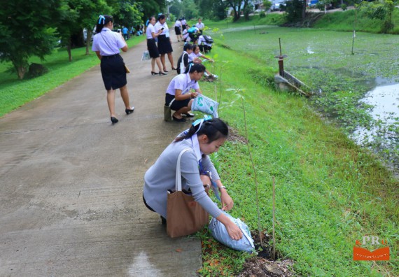 ภาพกิจกรรม คณะวิทยาศาสตร์และเทคโนโลยี เข้าร่วมโครงการ “ปลูกป่าเฉลิมพระเกียรติแม่ของแผ่นดิน”